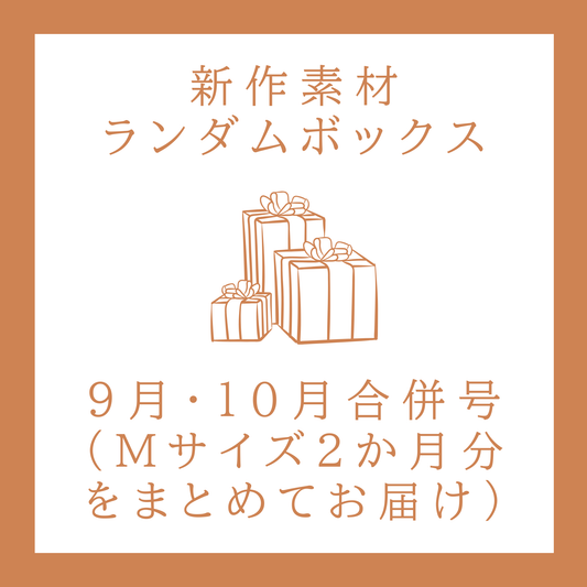 【追加受付】【2025年9・10月合併号】新作素材ランダムボックス｜Lサイズ