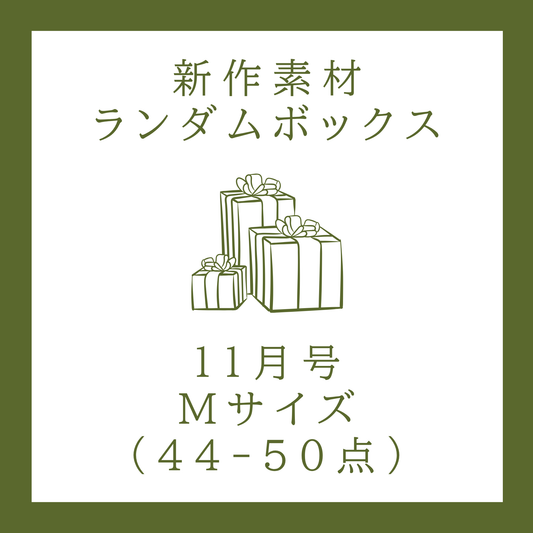 【2025年11月号】新作素材ランダムボックス｜Mサイズ