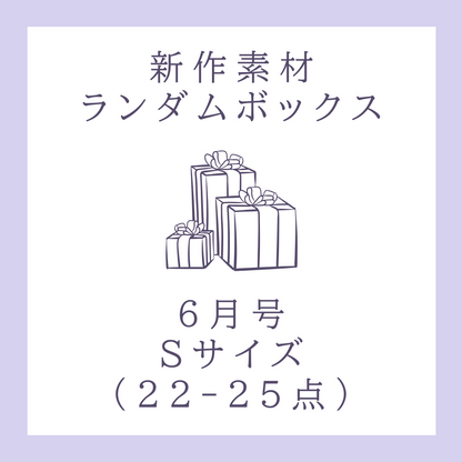 [June Issue] New Material Random Box | S Size