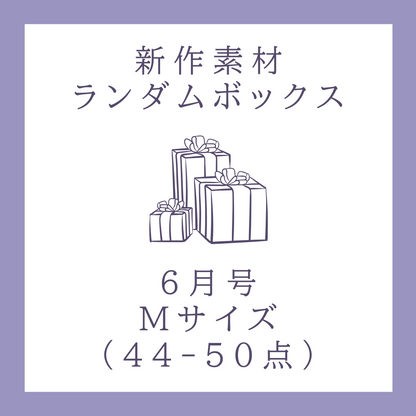 [June Issue] New Material Random Box | M Size