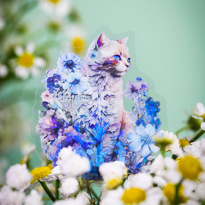 Nyanko-Paket [Kostenloser Versand]