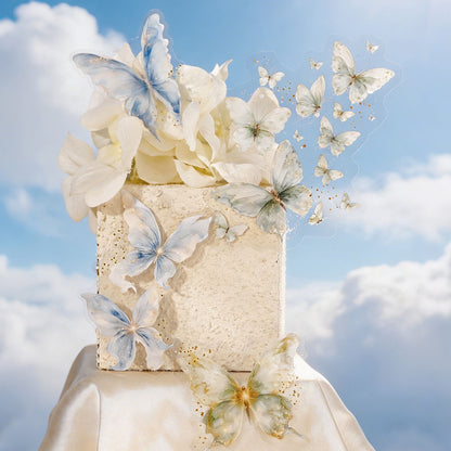 【8月号】新作素材ミステリーボックス