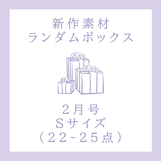[February Issue] New Material Random Box | S Size