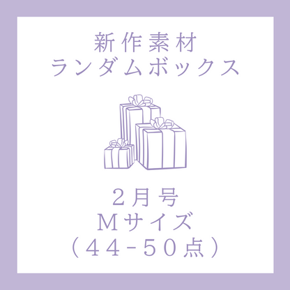 【2月号】新作素材ランダムボックス｜Mサイズ